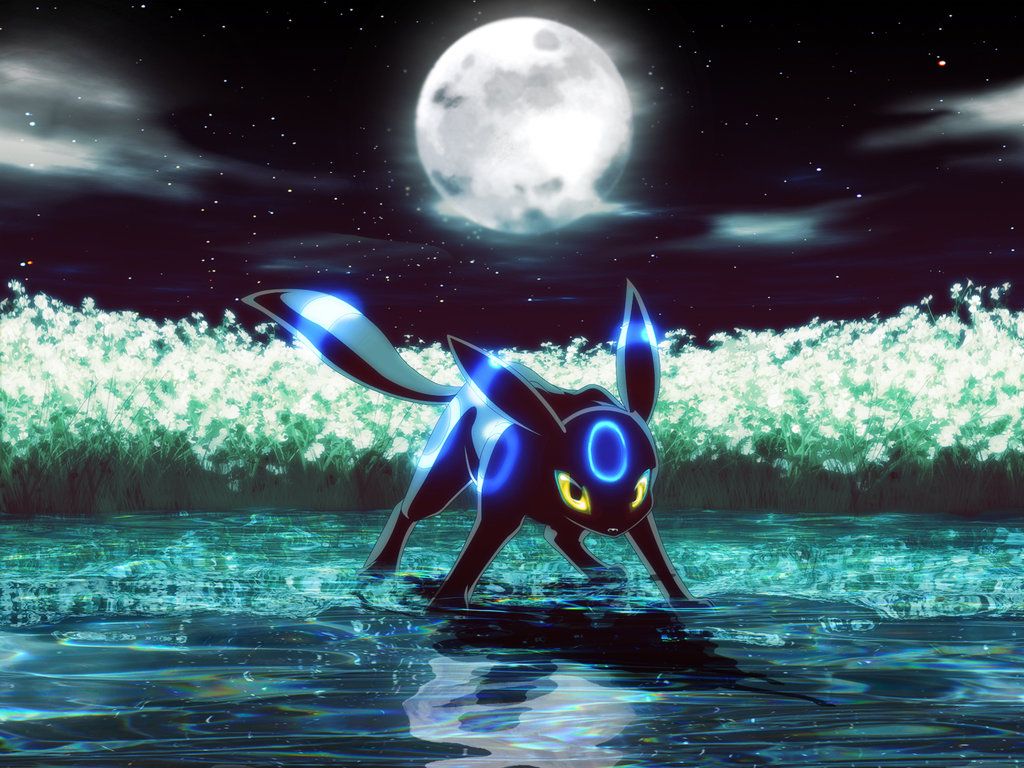 1024x768 umbreon s midnight - CokeTheUmbreon Wallpaper (39990475) - Fanpop