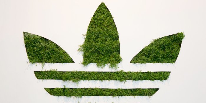 2560x1440 Wallpaper : Adidas, logo, sport, firm, grass 2560x1440 - wallup