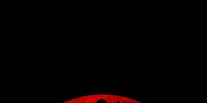 720x1280 Ninja Blood Moon Wallpaper by Studio929 - 8c - Free on ZEDGE™