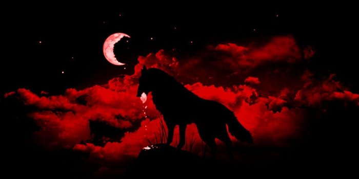1440x900 Red Moon Wallpaper - (48+) Group Wallpapers
