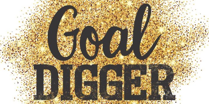 1080x1920 Goal Digger