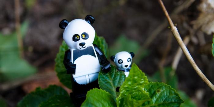 1600x1060 Lego Minifigures in the Wild: Lego Minifigures Series Lego Movie