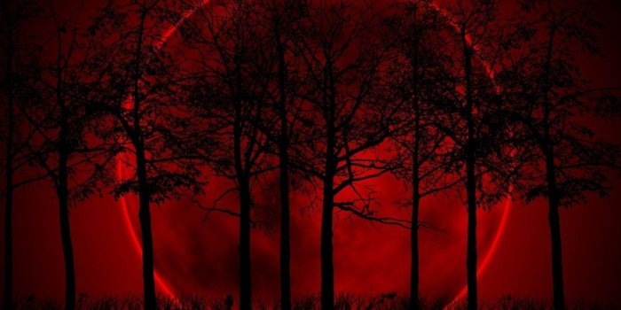1440x900 Red Moon Wallpapers