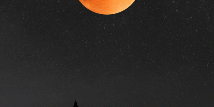 806x1433 Red Moon Wallpapers For Android Phones | Babangrichie.org