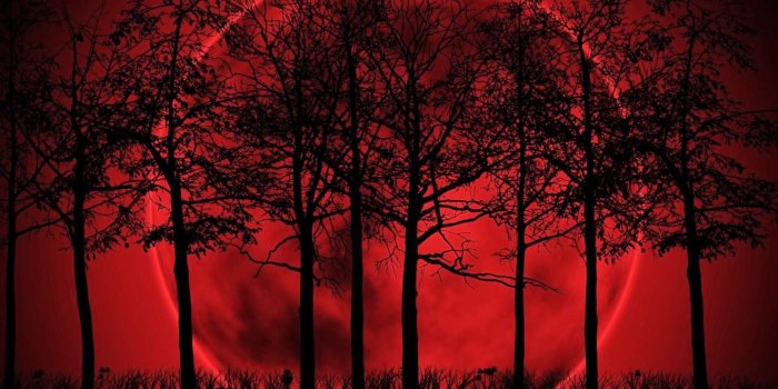 1440x900 Red Moon wallpaper free download for android smart phones ~ Urpouch