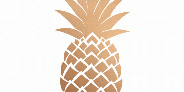 1237x1600 20+ Cute Gold Pineapple Wallpapers - Download at WallpaperBro
