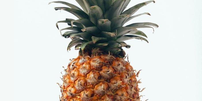 1000x1500 Best 20+ Pineapple Pictures | Download Free Images on Unsplash