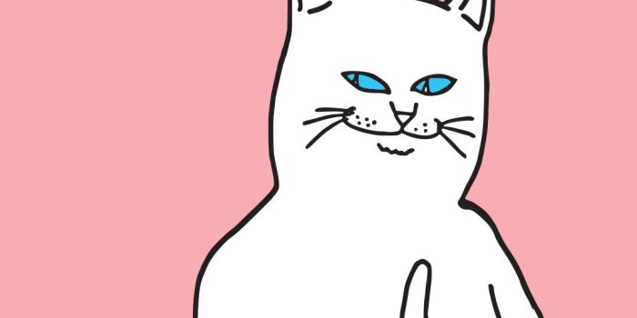 1080x1920 Zumiez — ripndiplivefeed: ripndip iPhone wallpapers....