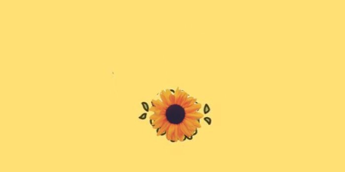 750x1332 Aesthetic Yellow Wallpapers
