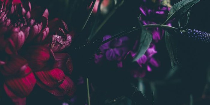 736x1308 24 Wallpapers To Style Your New Gold iPhone Xs | Preppy Wallpapers