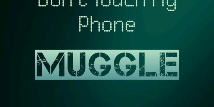 736x1309 Don't Touch My Phone MUGGLE. Harry Potter Slytherin Lockscreen | The