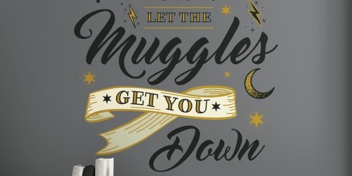 1000x1000 Harry Potter Muggles Wall Quote Giant Wall Decals