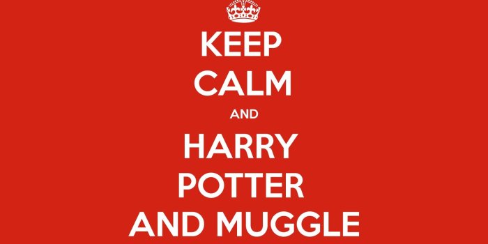 1680x1050 KEEP CALM AND HARRY POTTER AND MUGGLE | KEEP-CALM.net