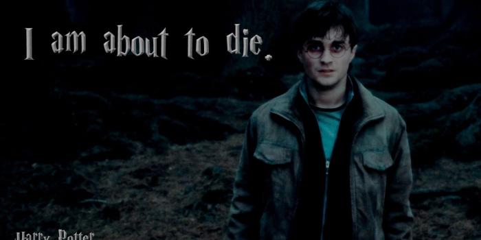 1280x800 Harry in Deathly Hallows - Harry Potter wallpaper (13426657) - fanpop