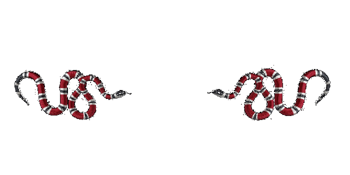 1080x1080 Animated gif about gif in hypebeast by Lory_lory