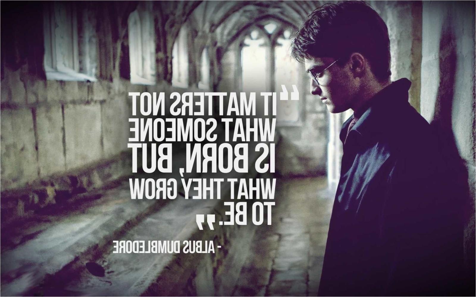 1922x1202 75+ Harry Potter Wallpapers on WallpaperPlay