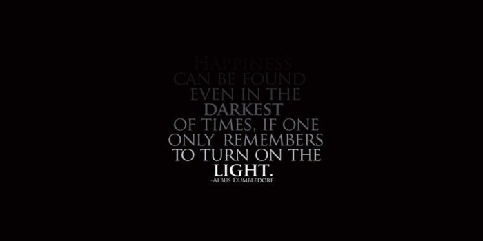 1920x1200 Albus Dumbledore Wallpapers (62+ images)