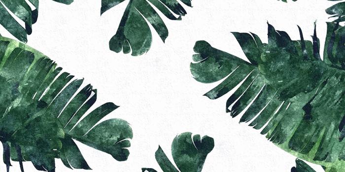 1856x1161 summer leaves wallpaper - جستجوی Google | Pc desktop wallpaper in