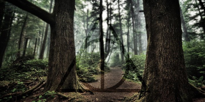 1920x1080 Harry Potter Deathly Hallows Wallpaper by NIHILUSDESIGNS