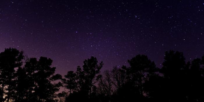 1920x1200 Die 94+ Besten Rosen Hintergrundbilder für Tumblr