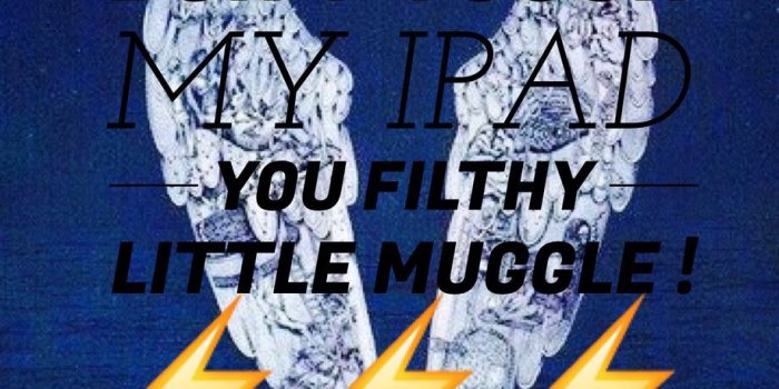 919x1280 Don't touch my IPad you filthy little muggle !‚ö°Ô∏è‚ö°Ô∏è‚ö°Ô∏è