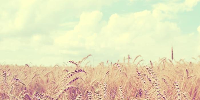 1920x1080 Desktop backgrounds hd tumblr – Desktop Backgrounds 2019