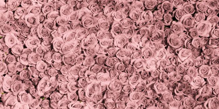 2880x1800 Tumblr Desktop Wallpapers on MarkInternational.info