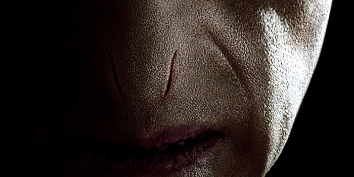 1080x1728 Lord Voldemort from Harry Potter and the Deathly Hallows Desktop