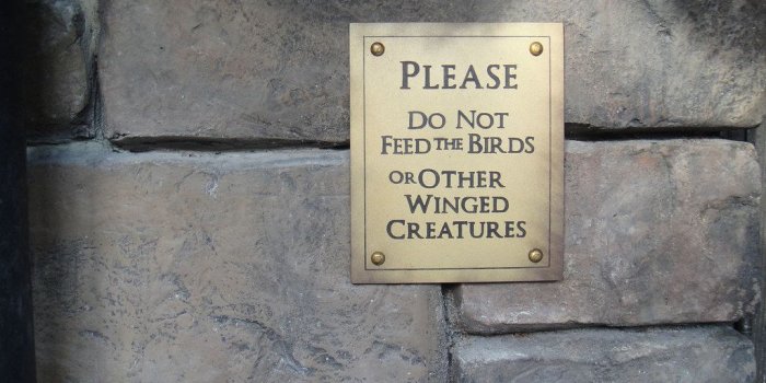 1024x768 Wizarding World of Harry Potter - a warning to Muggles