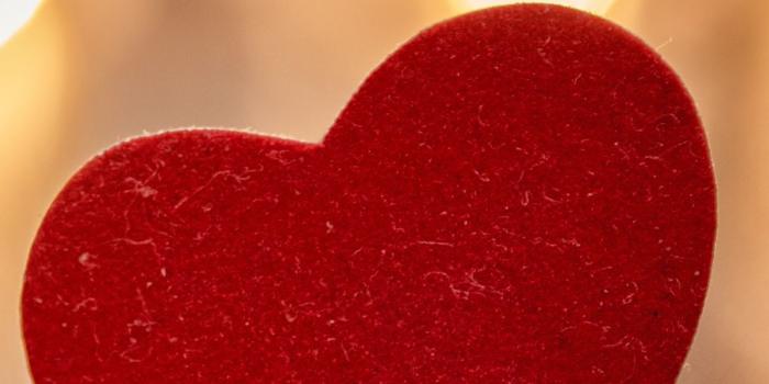 1080x1920 Heart iPhone 6S Plus Wallpaper | Gallery Yopriceville - High