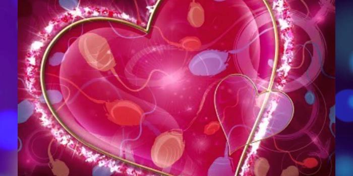 1280x720 Watch 27 Beautiful Heart Wallpaper in HD