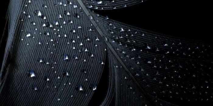 1080x1920 73+ Black Mobile Wallpapers on WallpaperPlay