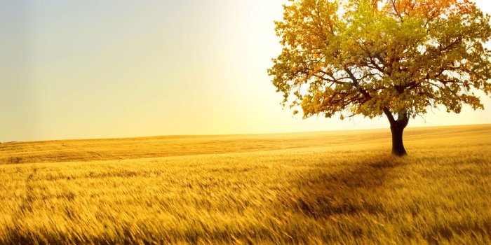 2560x1440 Desktop wallpaper | 2560x1440 | #35395