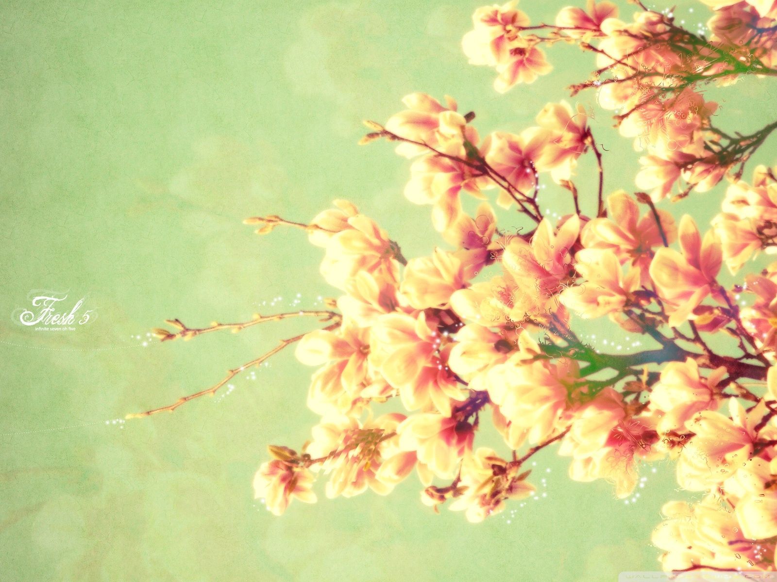 1600x1200 50+ Vintage Spring Wallpapers - Download at WallpaperBro