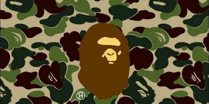 800x1199 Bathing Ape Camo Wallpapers