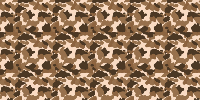 2560x1440 Bape Camo Wallpaper HD on MarkInternational.info