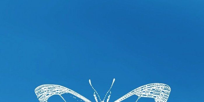 740x1200 BTS - Butterfly Wallpaper | KPOP Wallpapers <3 | Butterfly wallpaper