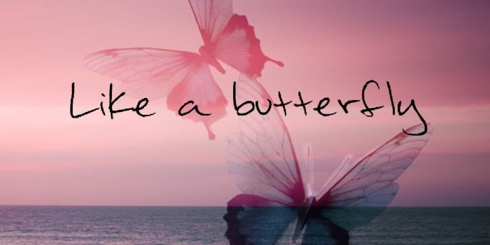 1200x1800 Inspired by BTS Butterfly- created by myself | Backgrounds | Photo