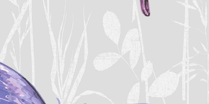 1080x1920 Purple Butterfly Wallpaper Android - 2019 Android Wallpapers