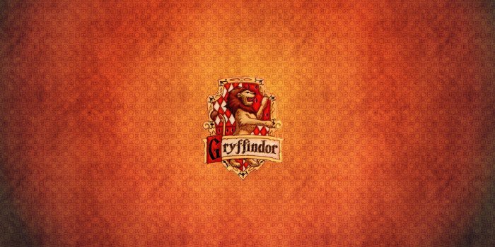 2560x1440 HD wallpaper: gryffindor, pokeball, the | Wallpaper Flare