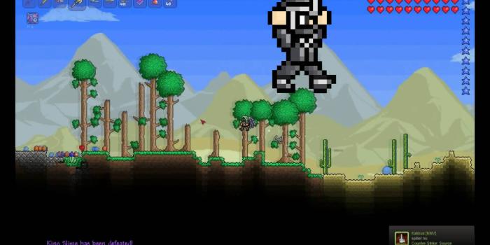 1920x1080 Terraria wallpaper | 1920x1080 | #52738