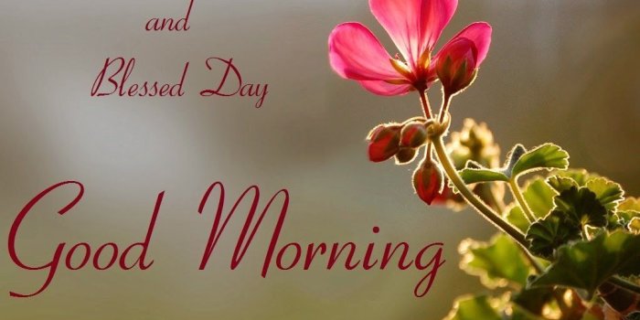 1024x798 Good Morning Friends Wallpapers For Facebook