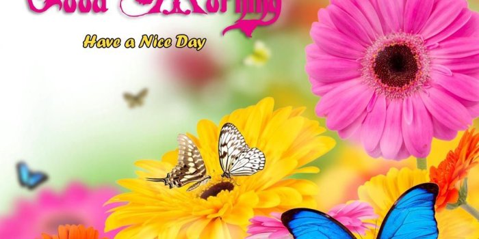 1024x768 Good Morning Friends Wallpapers For Facebook
