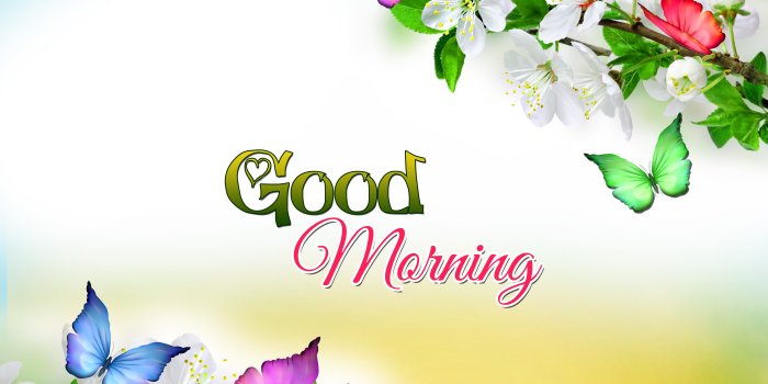 6000x4500 Good Morning Wallpaper Picture | Devendra Prajapati | Good morning
