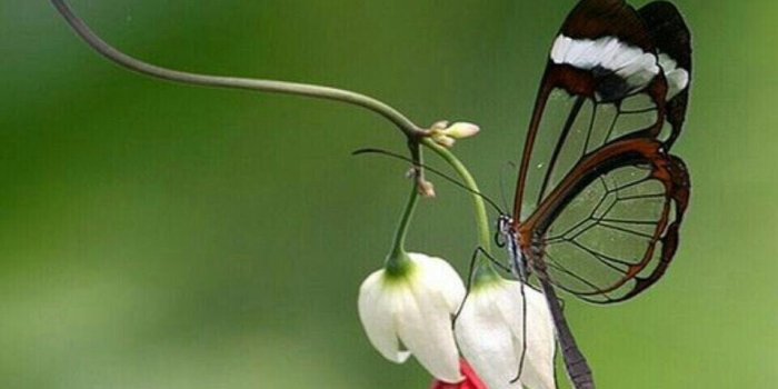 960x960 Top 100+ New Good Morning Whatsapp Images, Wallpapers, Picture