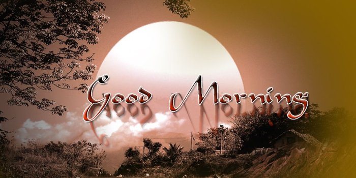 1024x768 Good Morning Wallpaper For Facebook