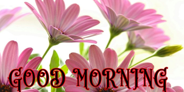 1920x1200 good morning pictures photos images and pics for facebook tumblr