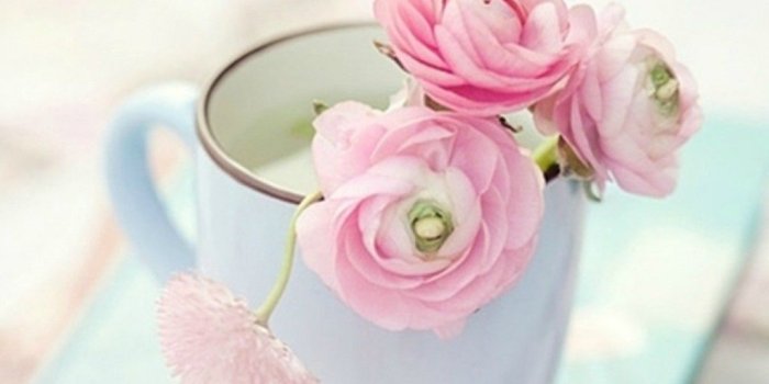1024x819 Wallpaper-Hd-Of-Good-Morning-For-Facebook-Images-Iphone-PIC