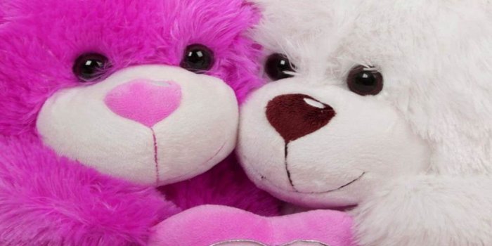 1040x858 Good Morning With Teddy Image - Good Morning Pic On Facebook