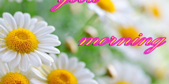 2098x1480 Good Morning Images Pics Wallpaper Pictures Free Download & Share